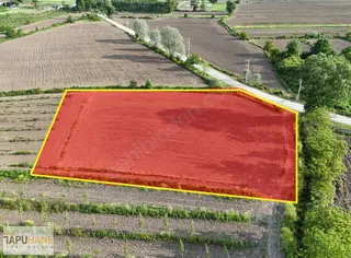 Tapuhane'den Aşagı Çalıcada 3865 M2 Asfalt Yola Cephe Satılık