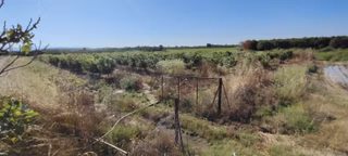 Antalya Serik Boğazkent'te Satılık 3976 Metre Kare Tarla-bahçe