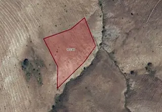 Sahibinden Erzincan İliç'de 6.641 Metrekare Tek Parça Tarla