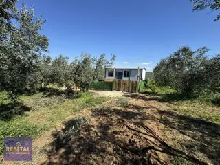 Mudanya Esence De Satılık 379 M2 Parseller