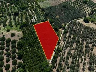 ▀▄mera Emlaktan Havran Tekke Mah. Doğayla İç İçe 4.948m2 Tarla