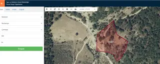 Burhaniye Çamtepe Köyü’nde Fırsat Yatırımlık Satılık Tarla