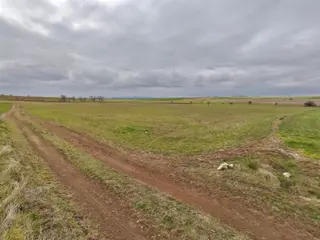 Sahibinden Uşak Susuzören’de Düz Ve Sulak Tarla / Kendi Yolu Var / Kaçırılmayacak Fırsat!