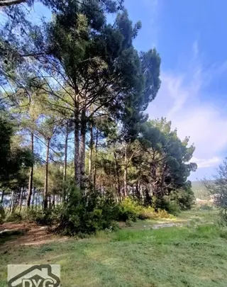 İmarlı Satılık Yatırımlık Arsa