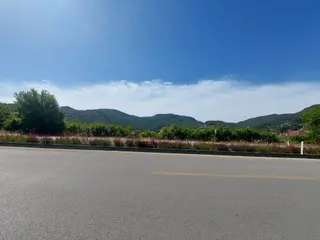Ortaca Okçular Da Anayola Sıfır 250 M2 İnşaat Hakkı Olan 503 M2 Arsa Satılık Ortaca Okçular Da Anayola Sıfır 250 M2 İnşaat Hakkı Olan 503 M2 Arsa Satılık