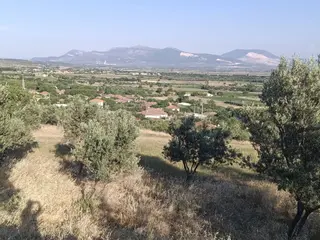 Köy Kenarı 9 Dekar Hayvancılık Ve Yatırımlık Tarla