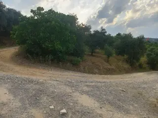 Mis Gibi Temiz Hava Tire Akyurt'ta 2487m2 Tek Tapu Zeytinliğimiz Satılıktır