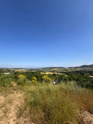 🌿 Yüksek Verimli Meyve Ağaçlarıyla Donatılmış Satılık Tarla