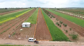 Zeytinli Köyünde Müstakil Tapulu Satılık Tarla 5.460 M²
