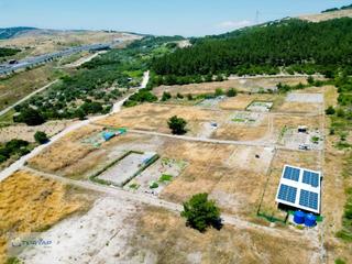 Samurluda Acıl Satılık Tarla