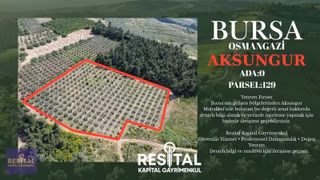 Osmangazi Aksungur'da 11 Dönüm Müstakil Tapulu Tarla