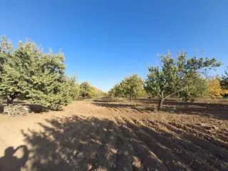 İkizler Gayrimenkul'den Satılık 28 Dönüm Bahçe.