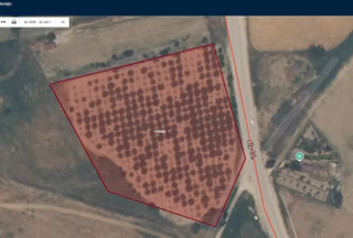 Bursadabul'dan Atariye Mah.ana Asfalt,mevye Bahçesi 10.728m2
