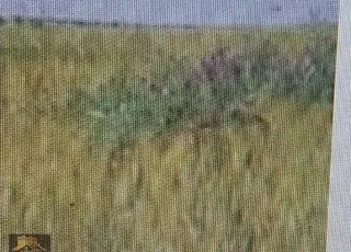 Erzinde Uygun Fiatlı Satlık İmarlı Arsa