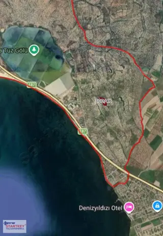 Ayvalık Küçükköy'de Satılık Deniz Manzaralı Zeytinlik