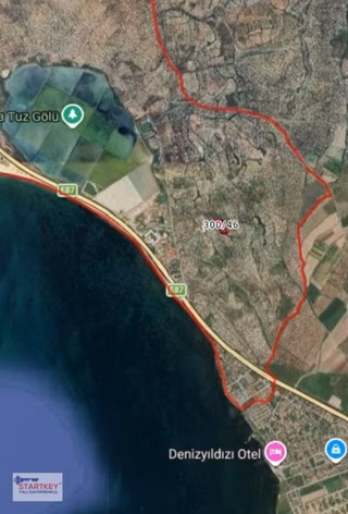 Ayvalık Küçükköy'de Satılık Deniz Manzaralı Zeytinlik