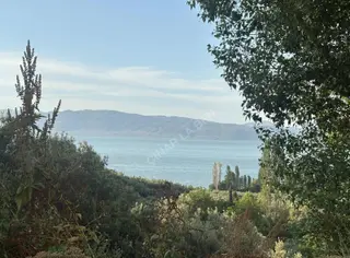 Asfalt Cepheli İmar Sınırı Göl Manzaralı 1100 M² Zeytinlik