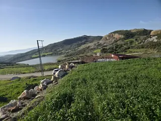 Oflaz Emlaktan Satılık Göl Manzaralı Arsa