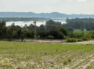 Boran Gayrimenkulden Çukurova Örcün Köyünde Satılık Arsa
