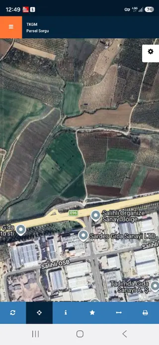 Sahibinden Salihli Osb Karşısı Zeytin Bahçesi Satılık