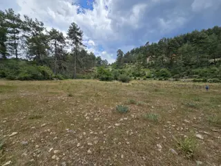 Milas / Ören Pinar Mahallesinde 1.660 M2 Düz Tarla