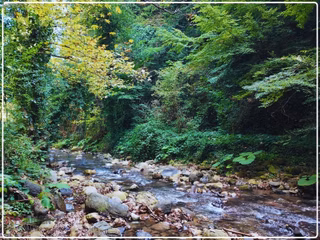 Akarsuya 200 Metre, Asfalt Yola 165 Metre Cepheli Emsalsiz Arsa