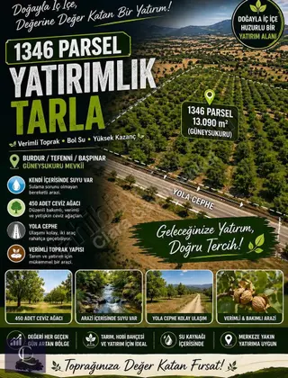 Burdur Tefenni Başpınar Köyü Satılık Ceviz Bahçesi