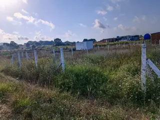 Çatalca Çiftlikköyde Köye Merkeze Yakın 294 M² Yatırımlık Arsa!
