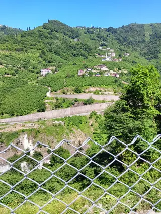 Wisrem'den Ortahisar'da Satılık Villalık Arsa Ve Fındık Bahçesi