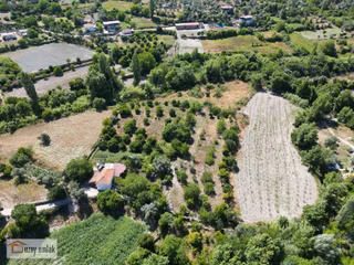 Milas Ören Dereköy'de 1.972 M² Meyve Ağaçlı Satılık Tarla