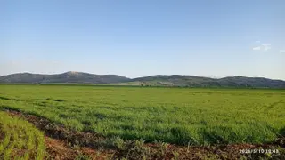 Kırkpınarda 3123m2 Tarla
