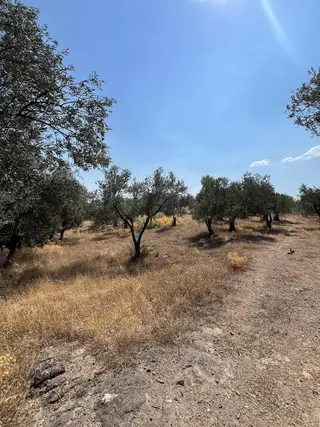 Mega Gayrimenkulden Satılık Fırsat Tarla