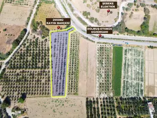 Doğaköy'de Satılık 2946m2 Kayısı Bahçesi Anayola Cepheli