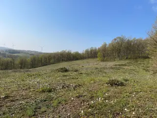 Sahibinden Nilüfer Güngören Yola Cephe Tarla