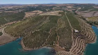 Badem Üretim Tesisi Ve Tarım Arazisi