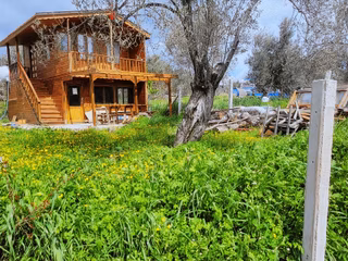 Çanakkale Ayvacık Bahçedere Köyü Ahşap Ev Olan Zeytinlik