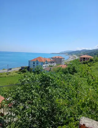 Sinop Türkeli İçesinde Satılık Tek Katlı Ev Ve Arsası