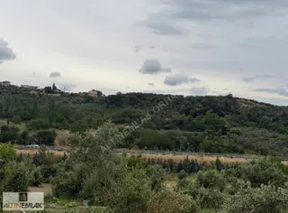 Altın Emlak`tan Otobanın Dibinde Fırsat Zeytinlik