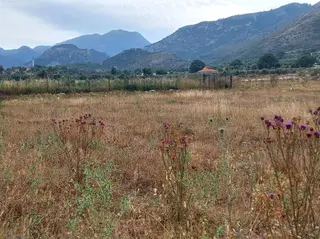 Sahibinden Muğla-seydikemer-izzettin Köyünde Müstakil Tapu (2.538)m² Tarla-yolüstü