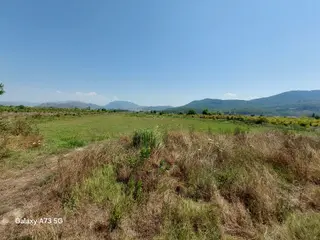 Dyk İnşaat Emlak'tan Köyceğiz Sultaniye De Satılık Göl Manzaralı Tarla