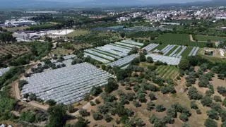 Satılık Bahçe