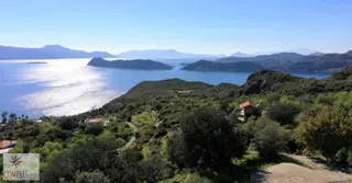 Marmaris Söğüt Satılık Deniz Gören 4.686 M2 Tarla