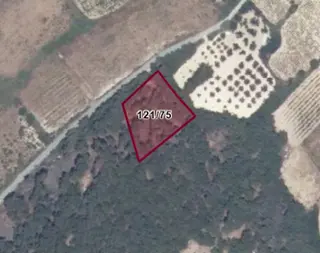 Bozcaada Cumhuriyet - Tek Tapu - Denize 850m Ağaçlar İçerisinde