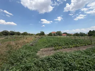 Korkuteli Akyar Mahallesi 226 Ada 5 Parsel