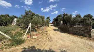 Kemalpaşa Vişnelide Eltrk.su Ve Resmi Yollu Tarla 471 M2