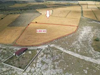 Turan Mah. 6.883 M2 Tek Tapu Yolu Mevcut Tarla