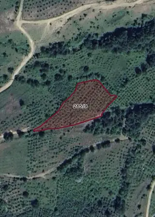 Berat Emlaktan Mengen Köyünde Fındıklık