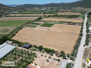 Milas Kemikler Mahallesi'nde Satılık 11.200 M² Tarla