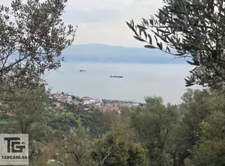 Tarcanlardan Körfez'de 1/1000 İmarlı 2.390 M² Satılık Arsa
