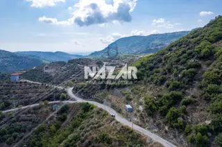 Alanya Mahmutseydi’de 1.157 M² Tarla Ve 1+1 Konteyner